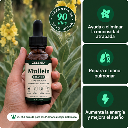 ZELENIA LAB® | Respirá con más comodidad. Viví con más tranquilidad.