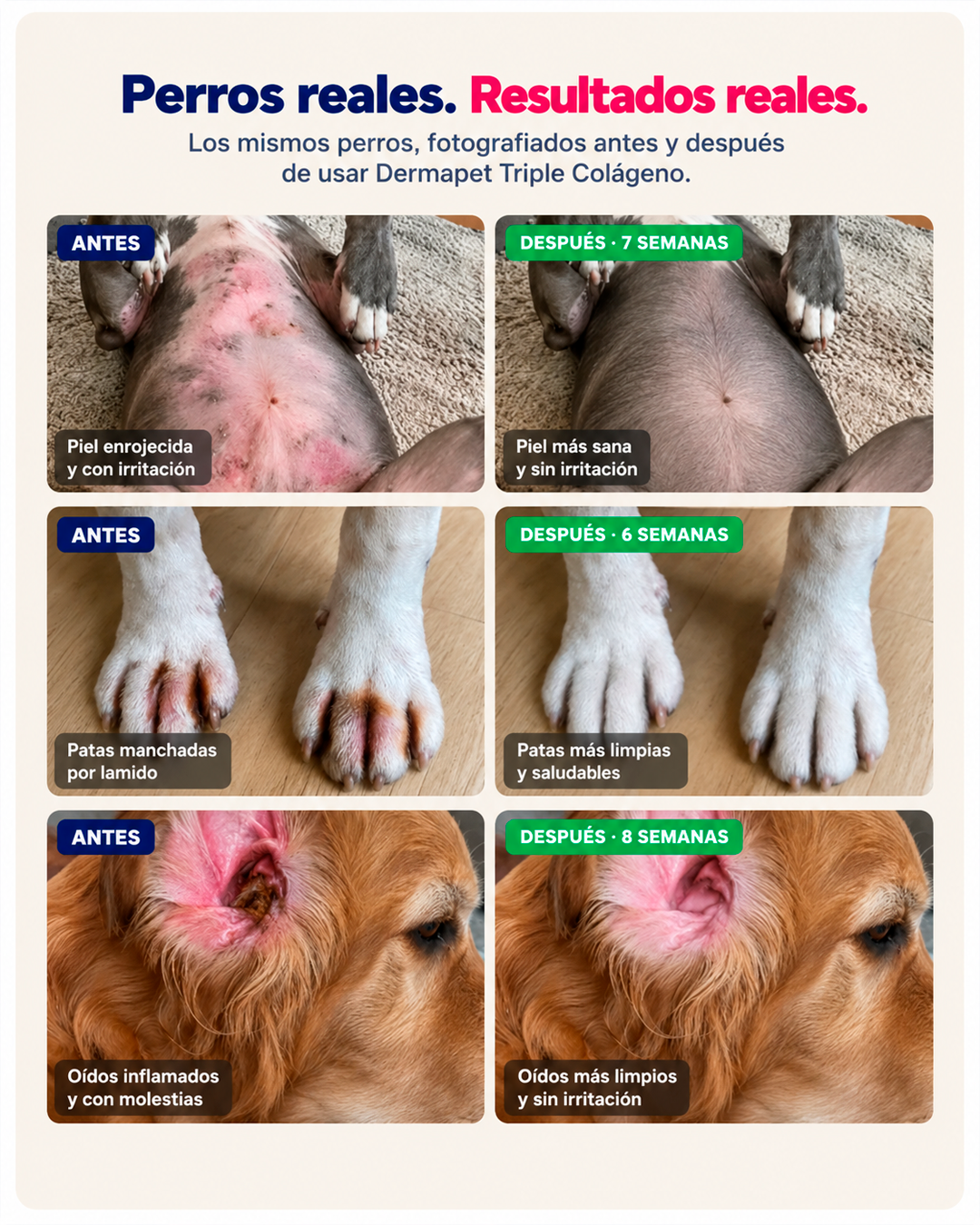 DERMAPET Triple Colágeno | Volvé a verlo disfrutar, jugar y acompañarte todos los días.