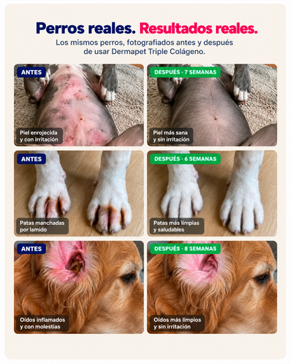 DERMAPET Triple Colágeno | Volvé a verlo disfrutar, jugar y acompañarte todos los días.
