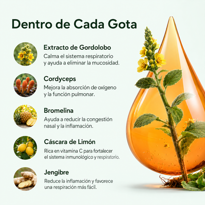 ZELENIA LAB® | Respirá con más comodidad. Viví con más tranquilidad.