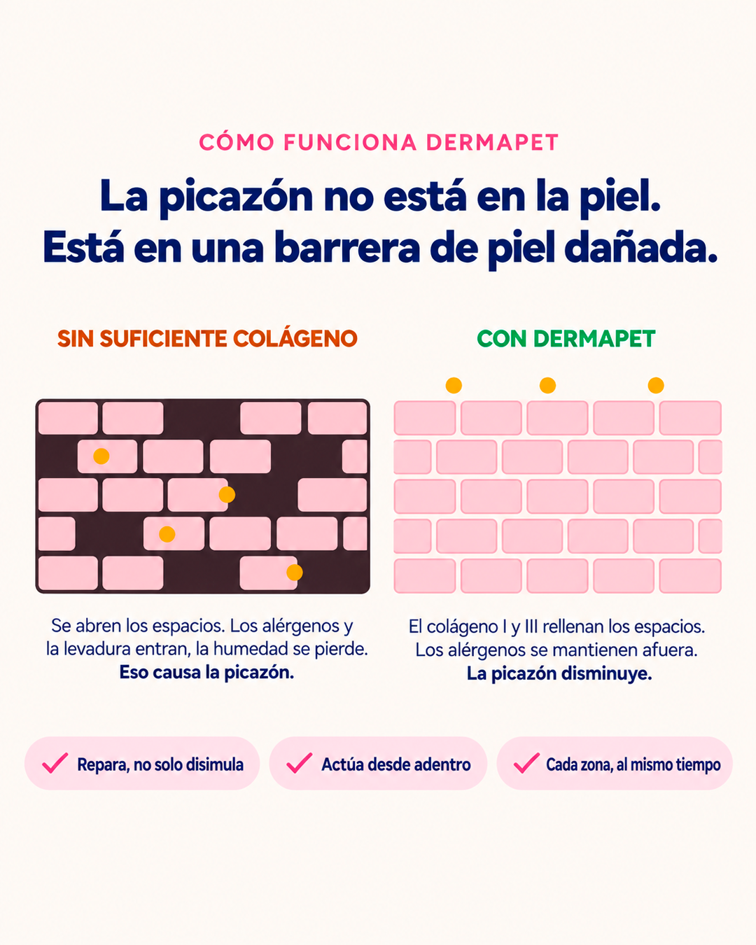 DERMAPET Triple Colágeno | Volvé a verlo disfrutar, jugar y acompañarte todos los días.