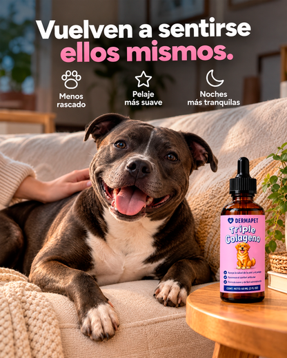 DERMAPET Triple Colágeno | Volvé a verlo disfrutar, jugar y acompañarte todos los días.